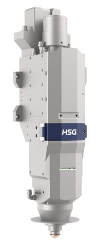 HSG